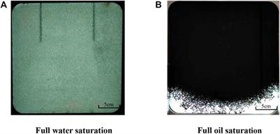 Study on the mechanism of improved oil recovery by nitrogen foam flooding in bottom water reservoirs